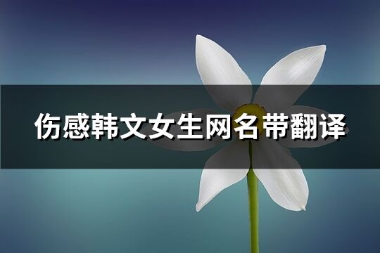 伤感韩文女生网名带翻译(精选68个)