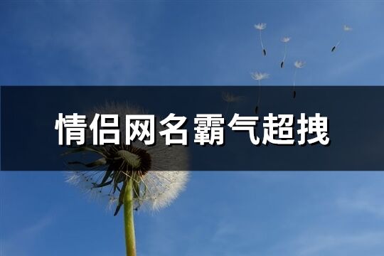 情侣网名霸气超拽(精选466个)