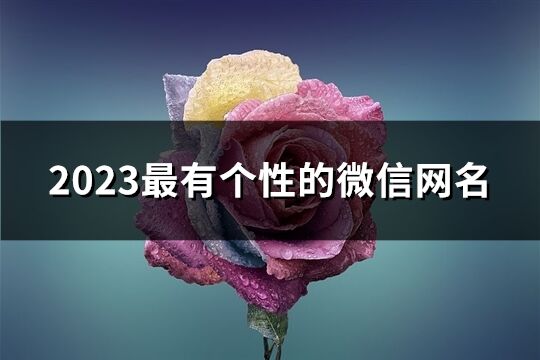 2023最有个性的微信网名(共2413个)