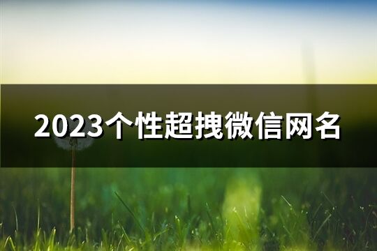 2023个性超拽微信网名(精选2533个)