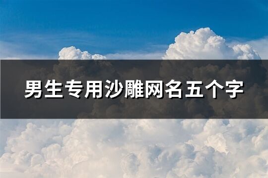 男生专用沙雕网名五个字(精选832个)