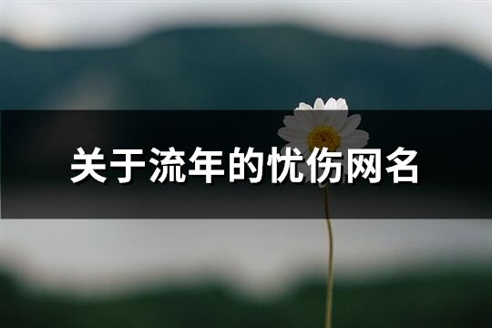 关于流年的忧伤网名(共106个)