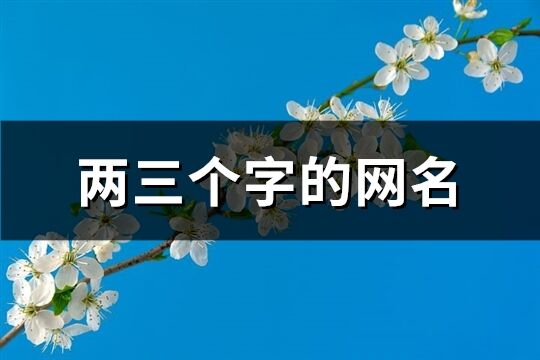 两三个字的网名(精选536个)