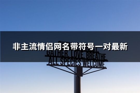 非主流情侣网名带符号一对最新(精选46个)