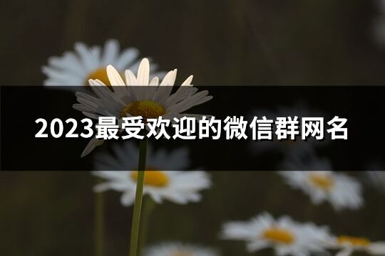 2023最受欢迎的微信群网名(精选315个)