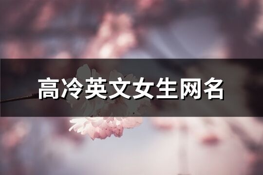 高冷英文女生网名(精选103个)