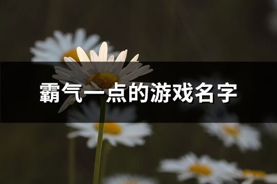 霸气一点的游戏名字(精选469个)