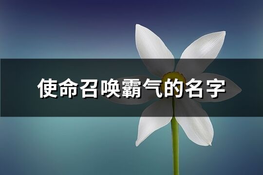 使命召唤霸气的名字(共557个)