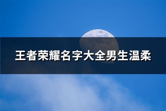 王者荣耀名字大全男生温柔(共412个)