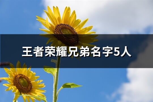 王者荣耀兄弟名字5人(43个)