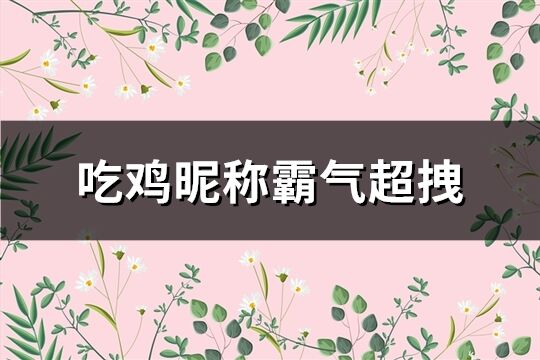 吃鸡昵称霸气超拽(精选456个)