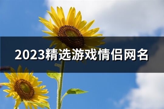 2023精选游戏情侣网名(精选635个)