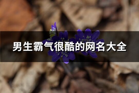 男生霸气很酷的网名大全(共712个)