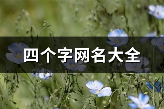 四个字网名大全(2153个)