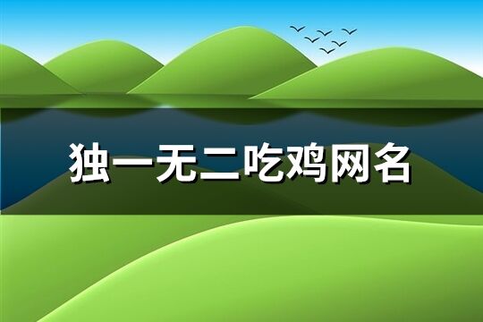 独一无二吃鸡网名(共475个)