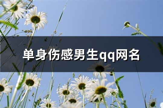 单身伤感男生qq网名(精选448个)