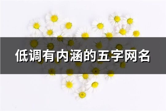 低调有内涵的五字网名(共791个)