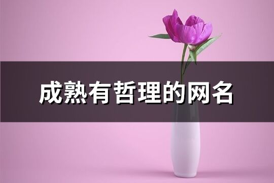 成熟有哲理的网名(168个)