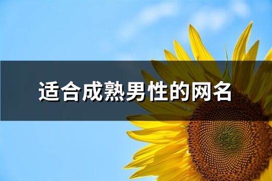 适合成熟男性的网名(1005个)