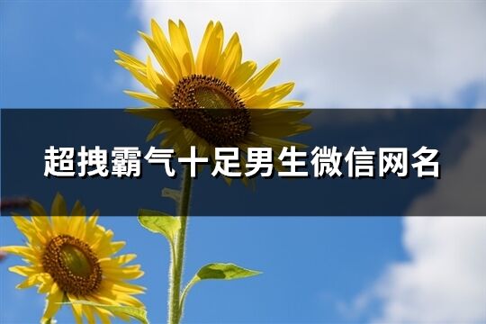 超拽霸气十足男生微信网名(共353个)