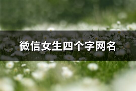 微信女生四个字网名(精选464个)