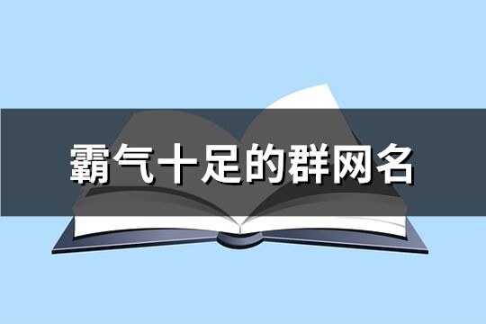 霸气十足的群网名(共544个)