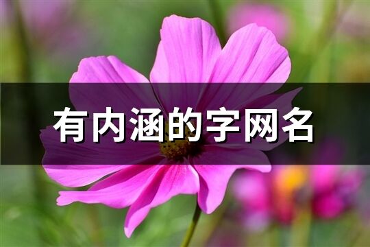 有内涵的字网名(71个)