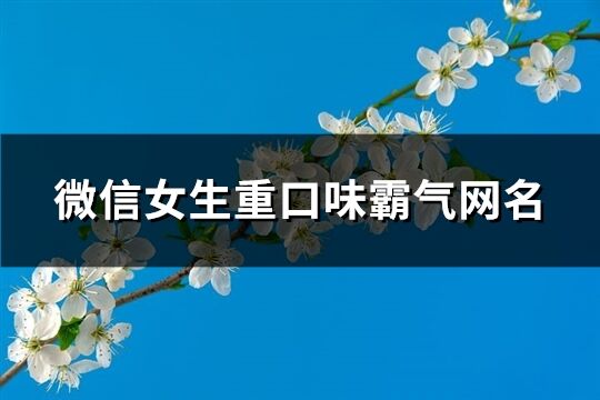 微信女生重口味霸气网名(精选313个)