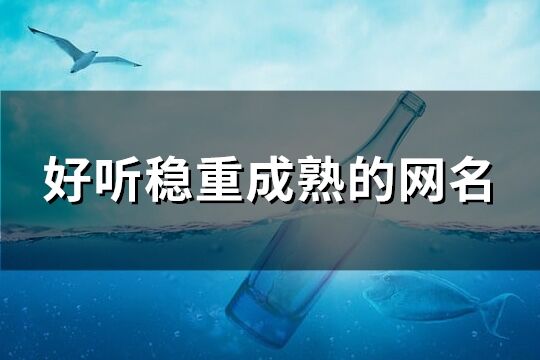 好听稳重成熟的网名(精选273个)