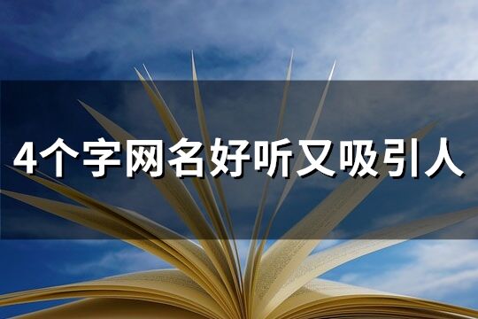 4个字网名好听又吸引人(共297个)