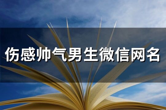 伤感帅气男生微信网名(精选277个)