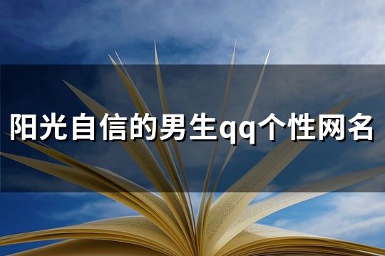 阳光自信的男生qq个性网名(80个)