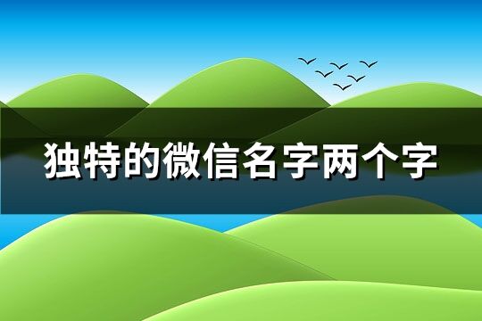 独特的微信名字两个字(精选211个)