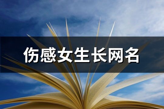 伤感女生长网名(204个)