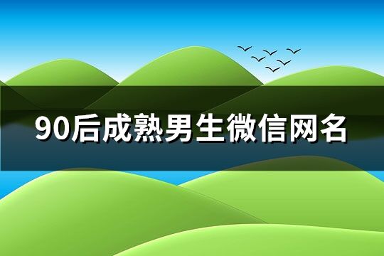 90后成熟男生微信网名(精选161个)