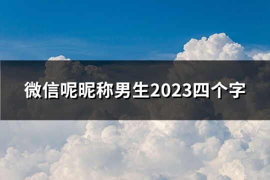 微信呢昵称男生2023四个字(共226个)