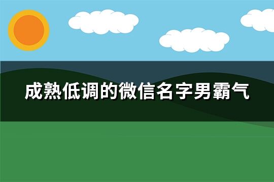 成熟低调的微信名字男霸气(共151个)