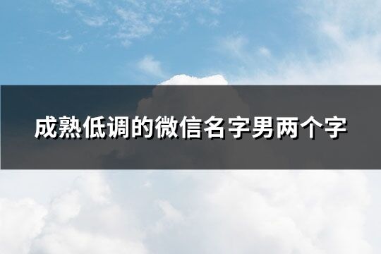 成熟低调的微信名字男两个字(307个)