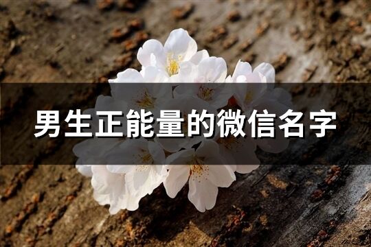 男生正能量的微信名字(优选249个)