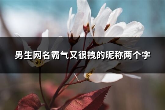 男生网名霸气又很拽的昵称两个字(102个)