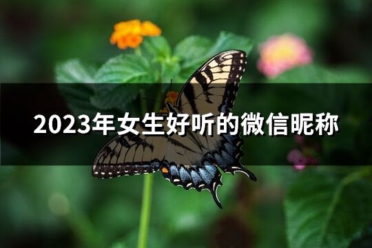 2023年女生好听的微信昵称(211个)