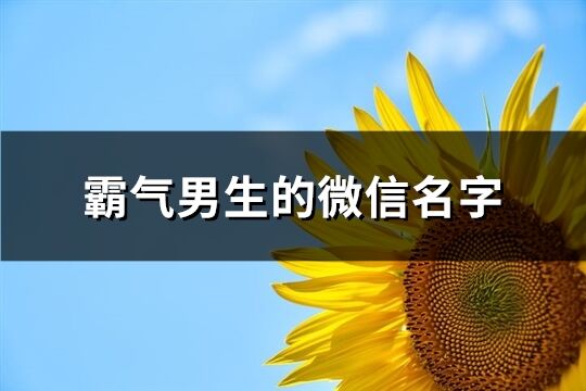 霸气男生的微信名字(优选192个)