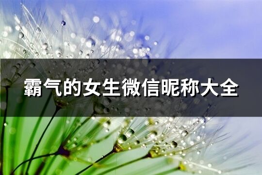 霸气的女生微信昵称大全(精选100个)