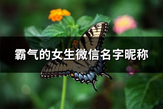 霸气的女生微信名字昵称(优选150个)