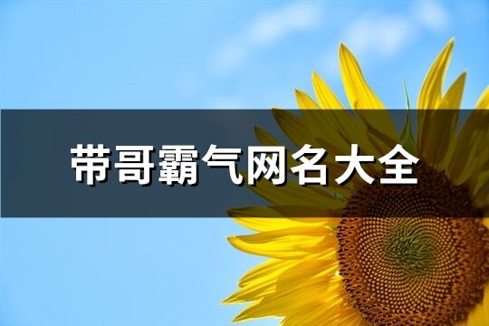 带哥霸气网名大全(共172个)