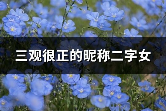 三观很正的昵称二字女(252个)