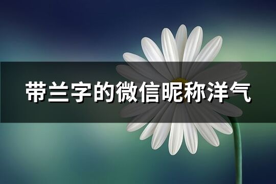 带兰字的微信昵称洋气(共116个)