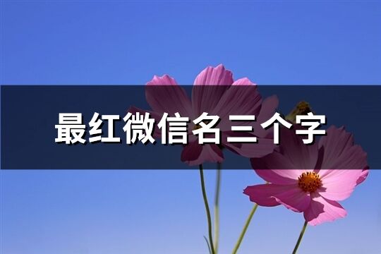 最红微信名三个字(精选116个)