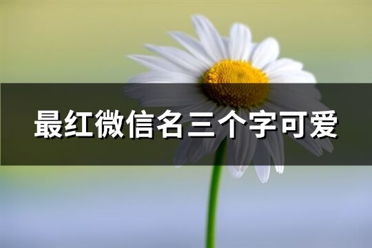 最红微信名三个字可爱(精选151个)