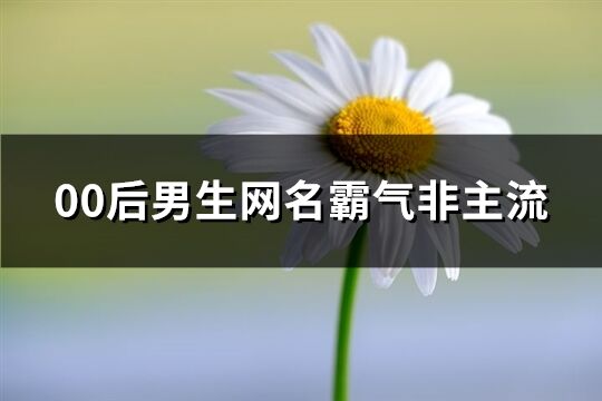 00后男生网名霸气非主流(精选279个)